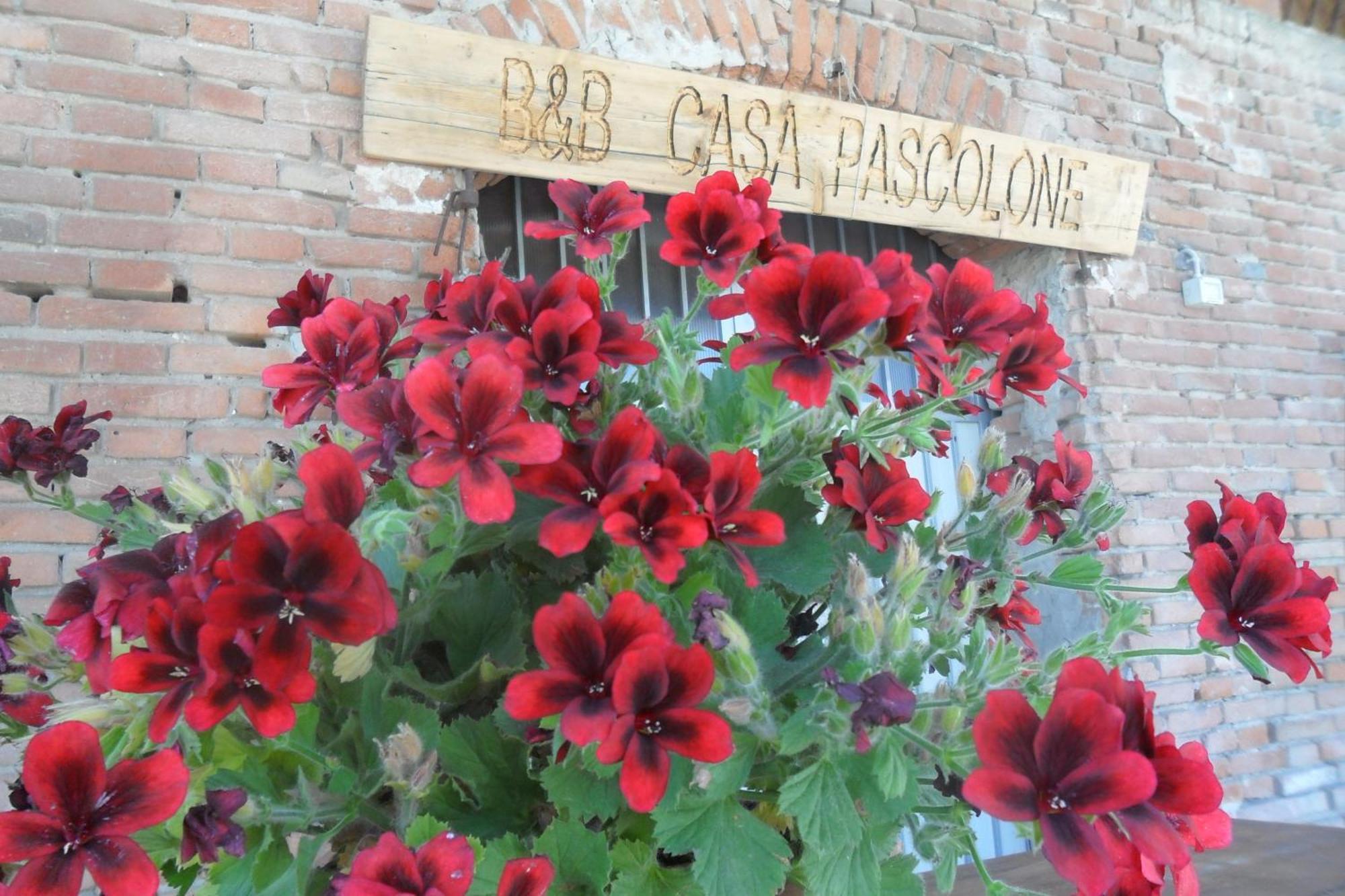 B&B Casa Pascolone Pegognaga Kültér fotó