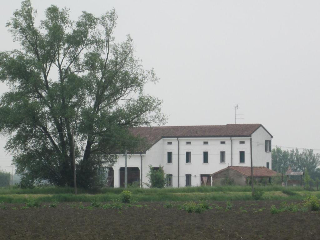B&B Casa Pascolone Pegognaga Kültér fotó
